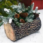 кашпо не дорого