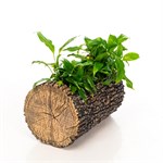 кашпо для растений