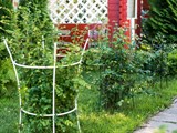 Комплект опор (3 шт) для садовых вьющихся растений 58-141 58-141 - фото 89117