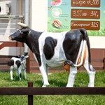 Фигура Корова из стеклопластика ростовая большая 221 см U07493 U07493 - фото 89395