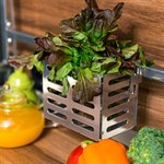 Модульная полка для хранения на кухню 115-203 115-203 - фото 90637