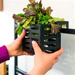 Модульная полка для хранения на кухню 115-203 115-203 - фото 90640