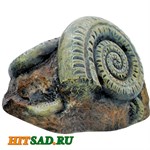 Камень аммонит