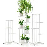 белая цветочница