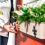 металлические держатели для ящика с растениями