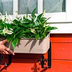 для благоустройства территории