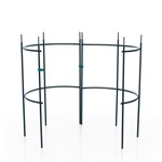 для вьющихся растений