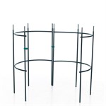 для полноценного роста растений