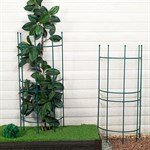 растущая опора