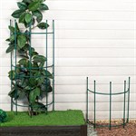 для садовых растений