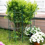 растущая опора