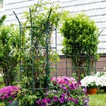 для кустарников