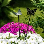 декор металлический бабочка 58-343