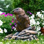 для искусственного водоёма