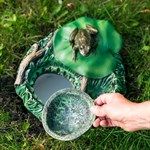 садовый фонтан садовый фонтан