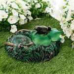 для искусственного водоёма для искусственного водоёма