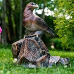 фонтан для сада