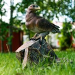 фонтан для дачи