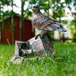 декоративный фонтан