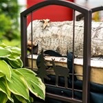 с лазерной резкой