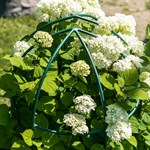 опора для садовых растений