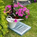 купить поддон