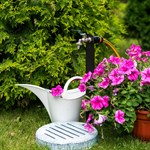 оригинальный подарок дачнику