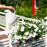 для уюта и красоты