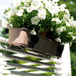 оригинальный подарок