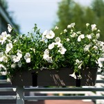 металлические кронштейны