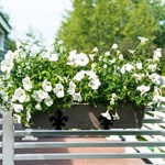 балконные корнштейны