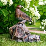 для благоустройства территории