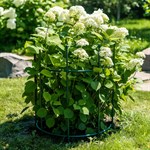 для поддержки растений