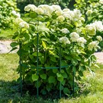 секция для опоры