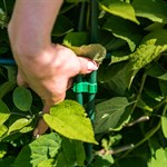 простота в использовании