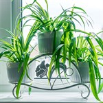 подставка для цветов цв.белый с золотом подставка для цветов цв.белый с золотом