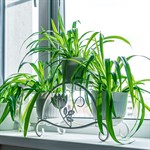 Подставка для цветов на подоконник кованая 41-014 41-014 - фото 93809