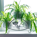 Подставка для цветов на подоконник кованая 41-014 41-014 - фото 93811