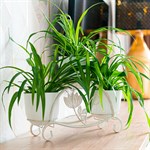 Подставка для цветов на подоконник кованая 41-014 41-014 - фото 93813