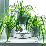 металлическая цветочница