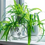 с лазерной резкой по металлу