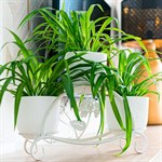 подставка для цветов на подоконник 41-007