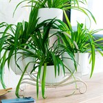 подставка на 4 кашпо