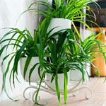 с лазерной резкой по металлу