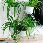 цветочница на подоконник 41-012 цветочница на подоконник 41-012