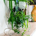 цветочница на 8 кашпо цветочница на 8 кашпо