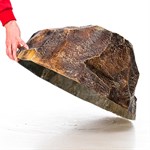 для декора сада