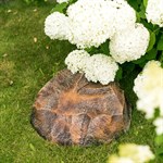 декоративная крышка