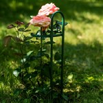 опора для роз