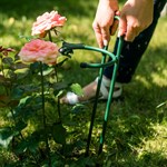 опора для роста растений